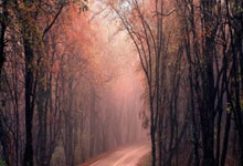 28国际官网:张继科隔空喊话黑龙江队教练,想参加全运会,网友不看好.