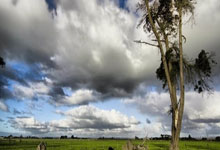 28国际官网:意甲最新积分榜:两大强队落败,领头羊5连胜,那不勒斯紧追国米.