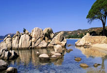 “跟得很辛苦,但拍得很过瘾”(镜头里的体育故事)人民日报.